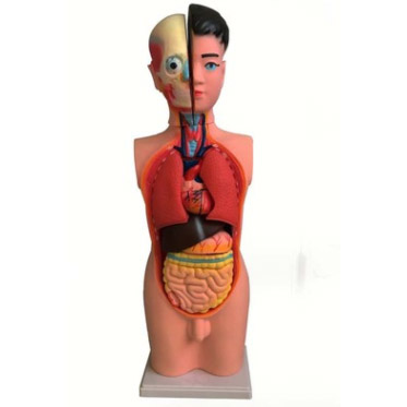 39053�����������ģ��