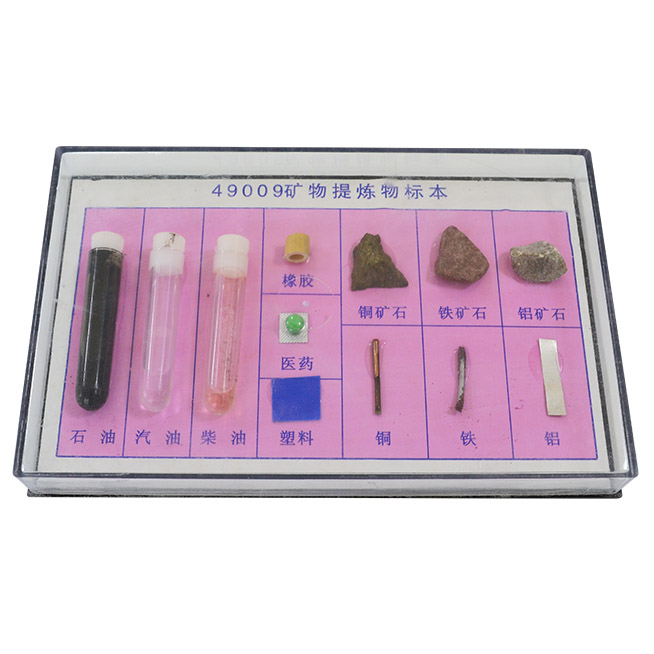 49009���������걾