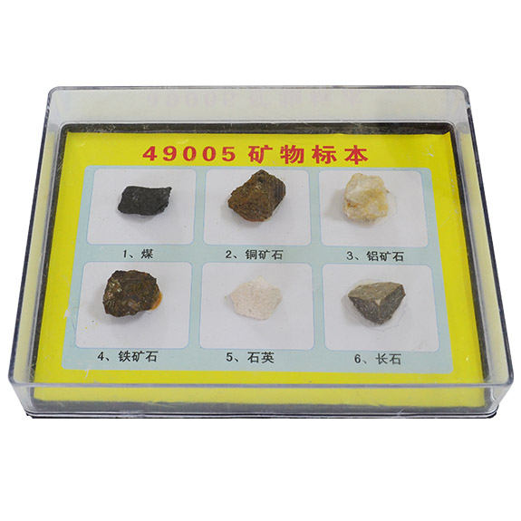 49005����걾