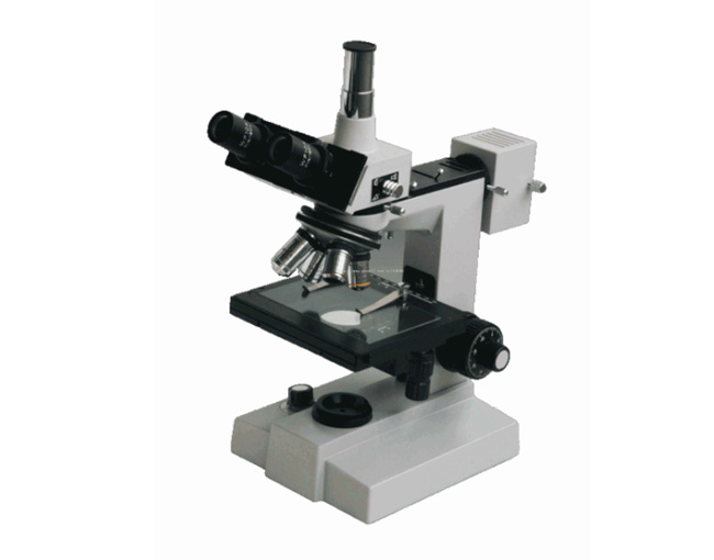 02042������΢��