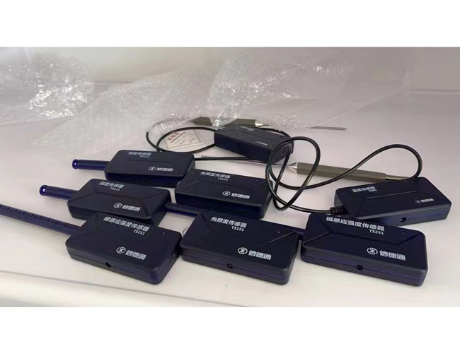 ���ִ���������������ѧ�����