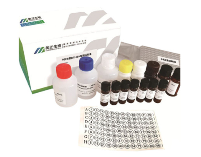 ���������Լ���