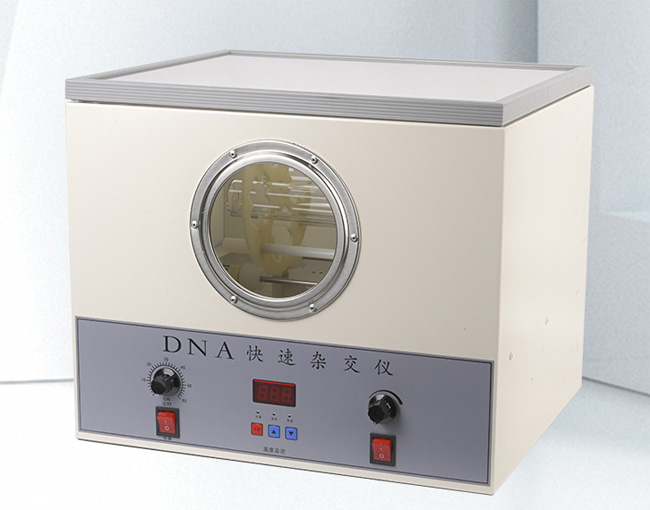 DNA�����ӽ���