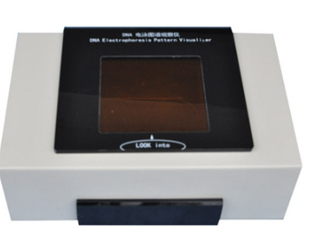 DNA��Ӿͼ�׹۲���