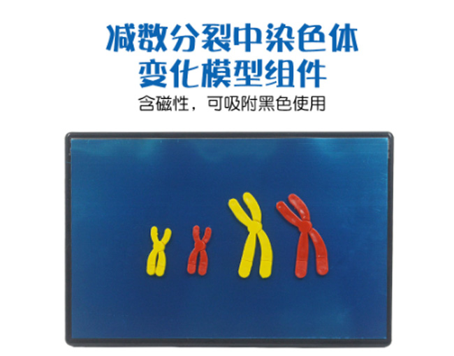 33305����������Ⱦɫ��仯ģ�����