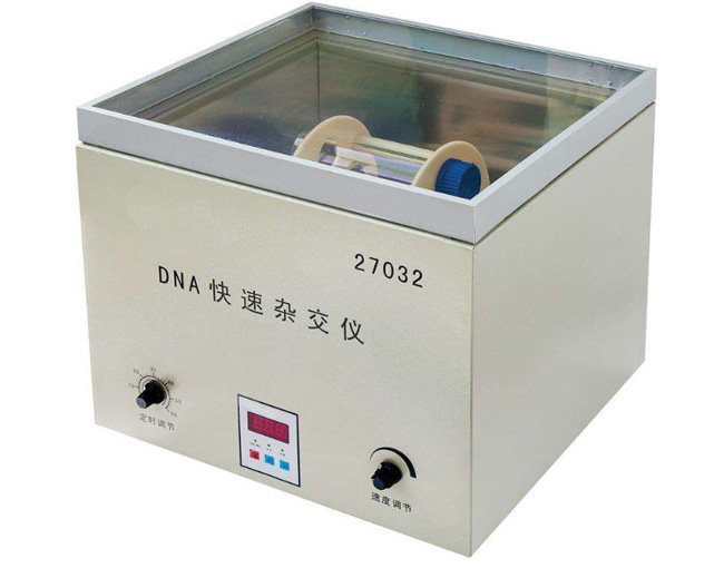 27032DNA�����ӽ���